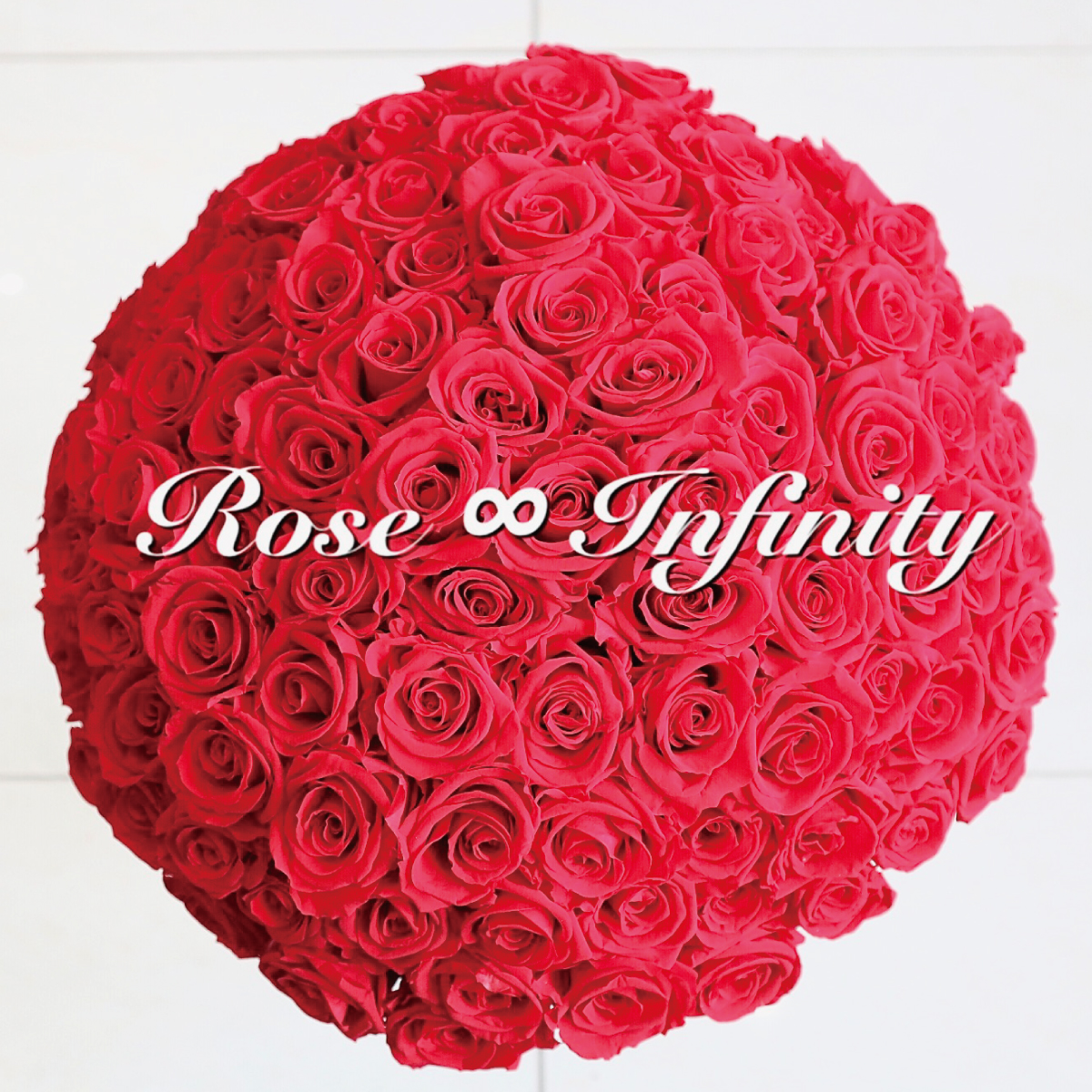 クロネコ レインボーローズ ブルーローズ ダイヤモンドプリザーブド